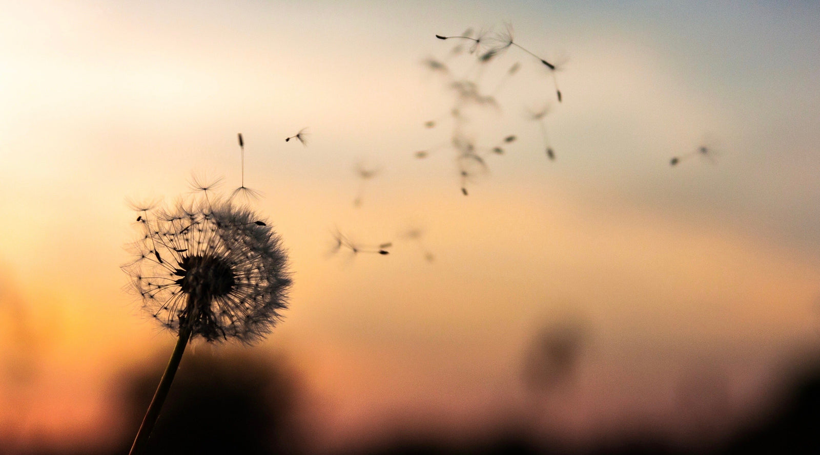 Letting Go: 4 Practices to Make Space for New Energy