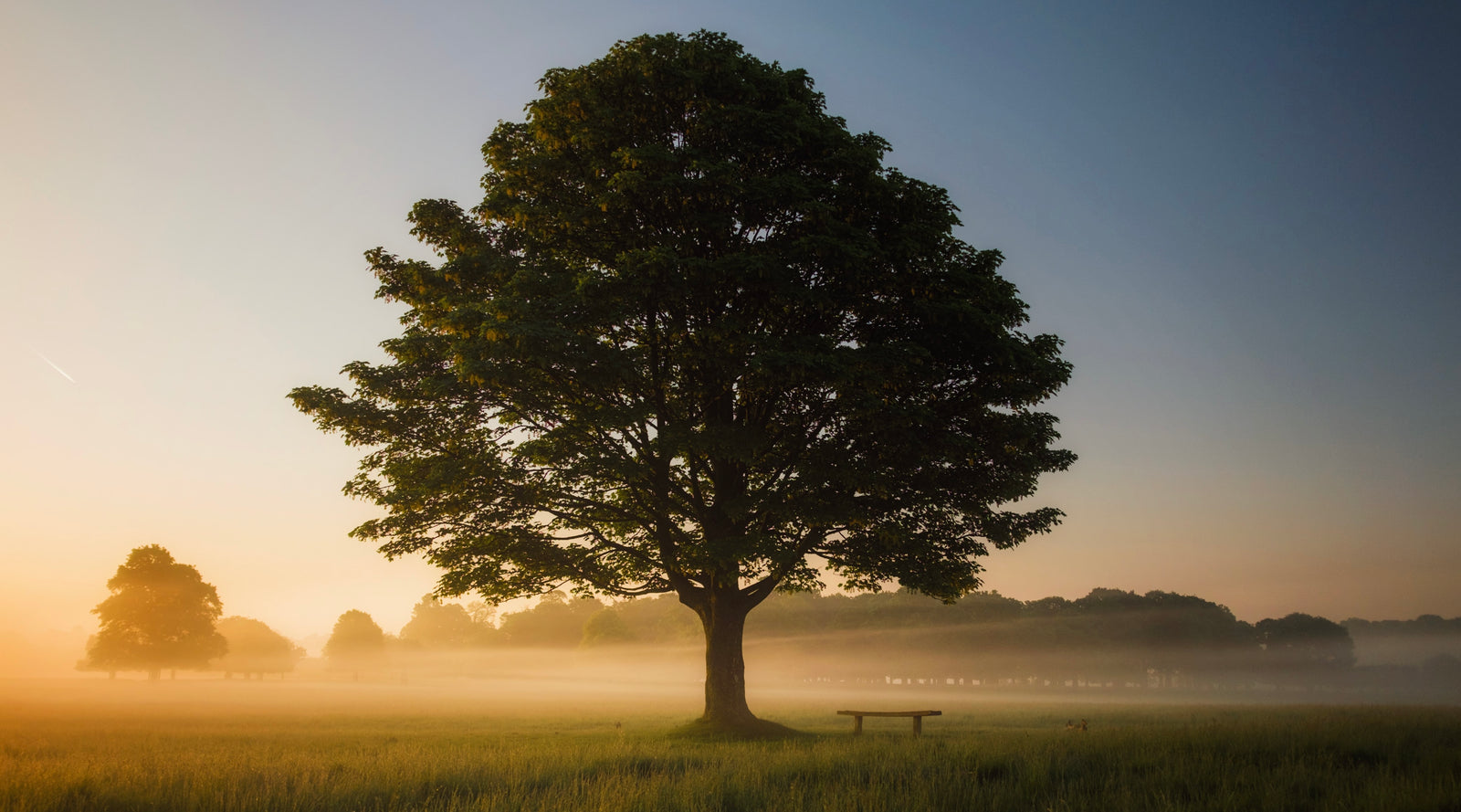 Get Grounded: 4 Easy Yet Powerful Practices