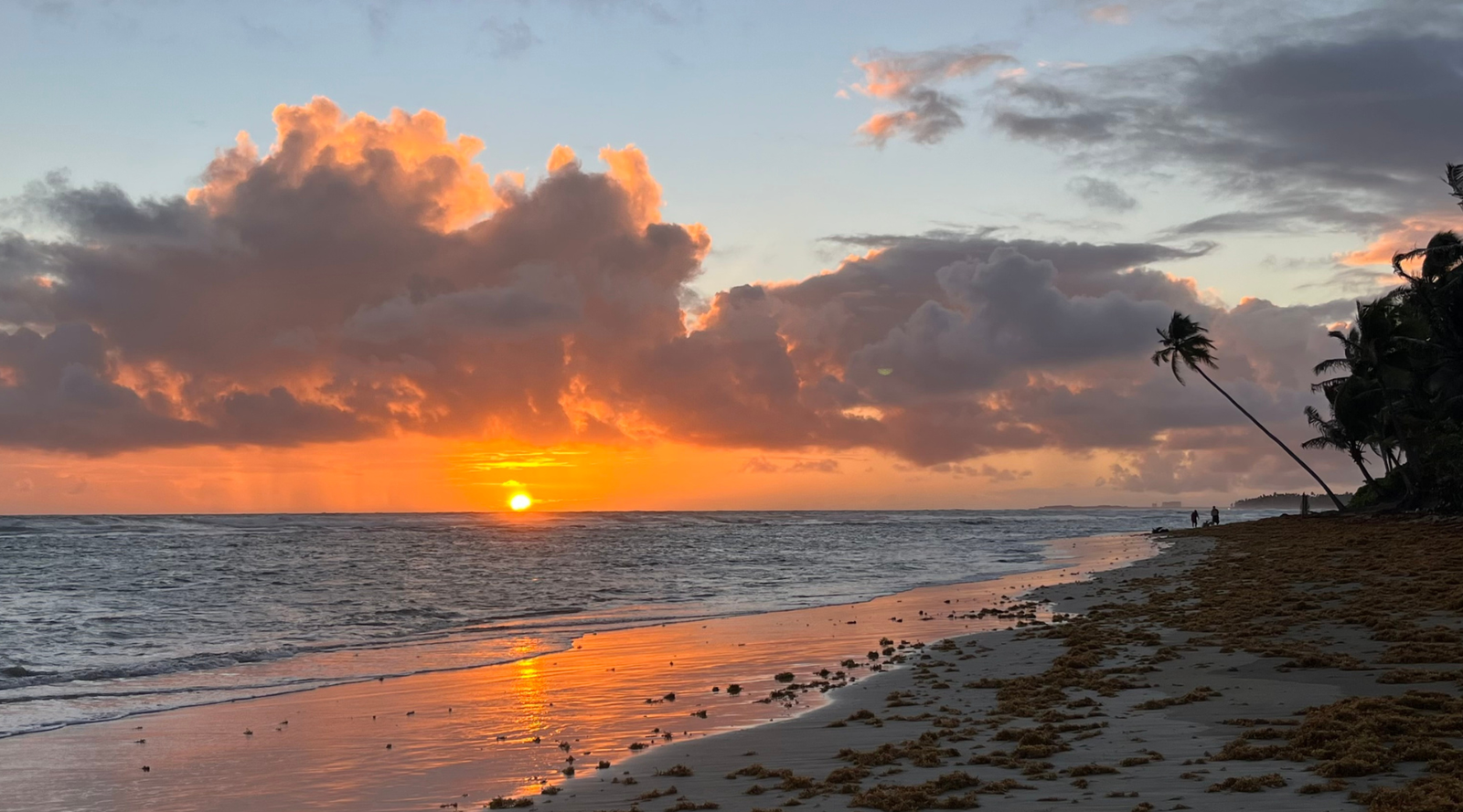 5 Ways to Feel Inner Peace