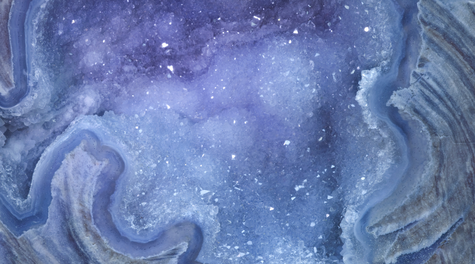 25 Quotes to Illuminate Your Journey to Compassion