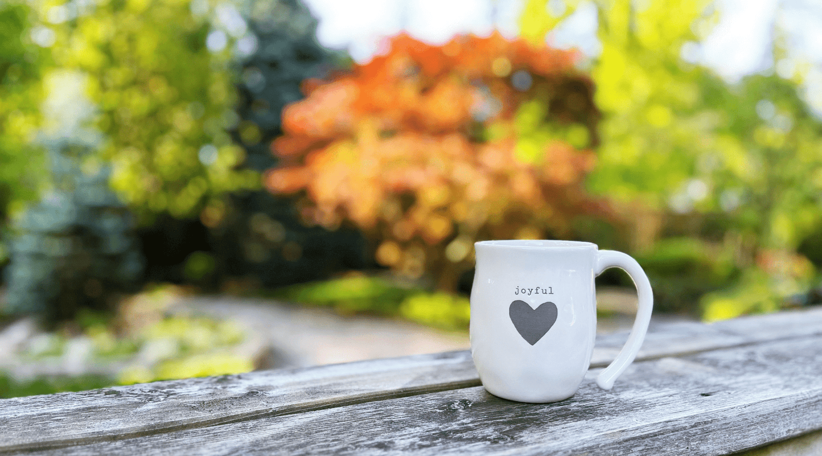 Choose Joy...Today and Everyday