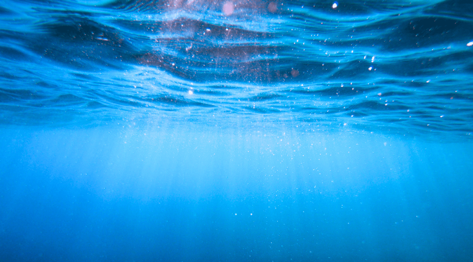 CLARITY: Find the Tool You Need to Live an Authentic, Vibrant, Fulfilling Life
