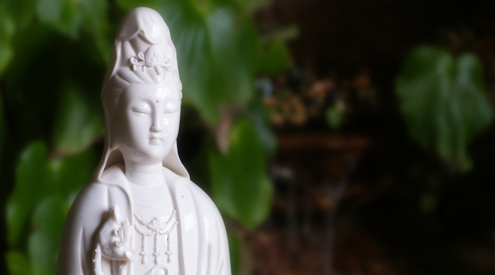 The Goddess of Compassion