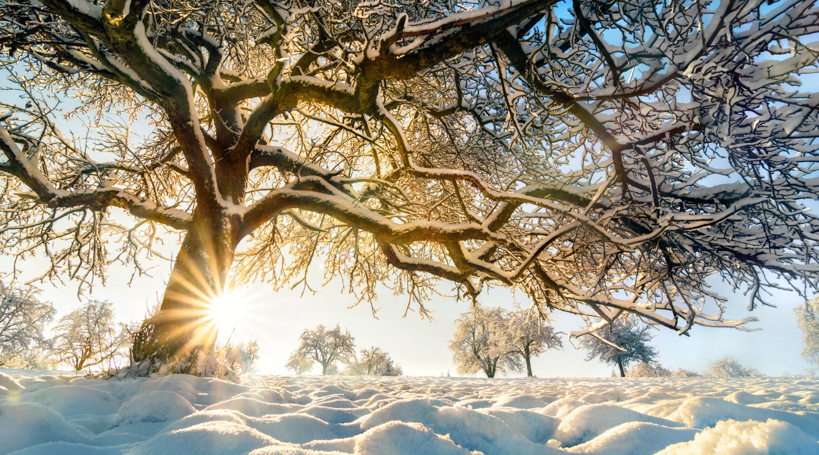 2 Minutes to Find Inner Stillness