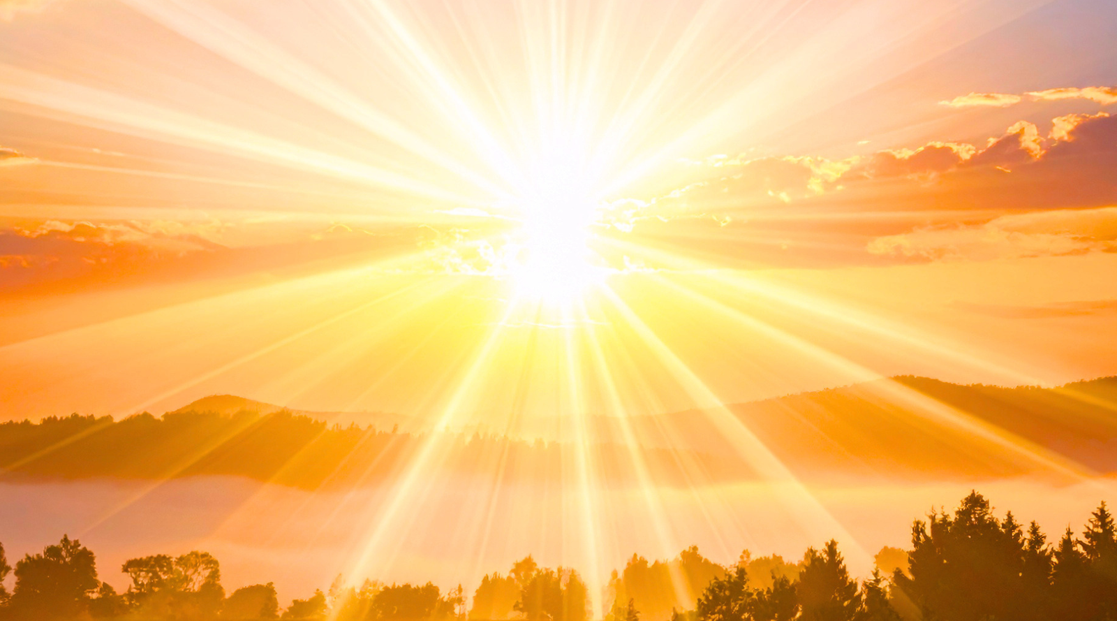 CONFIDENCE: For Greater Trust in Yourself and More Joy on the Journey
