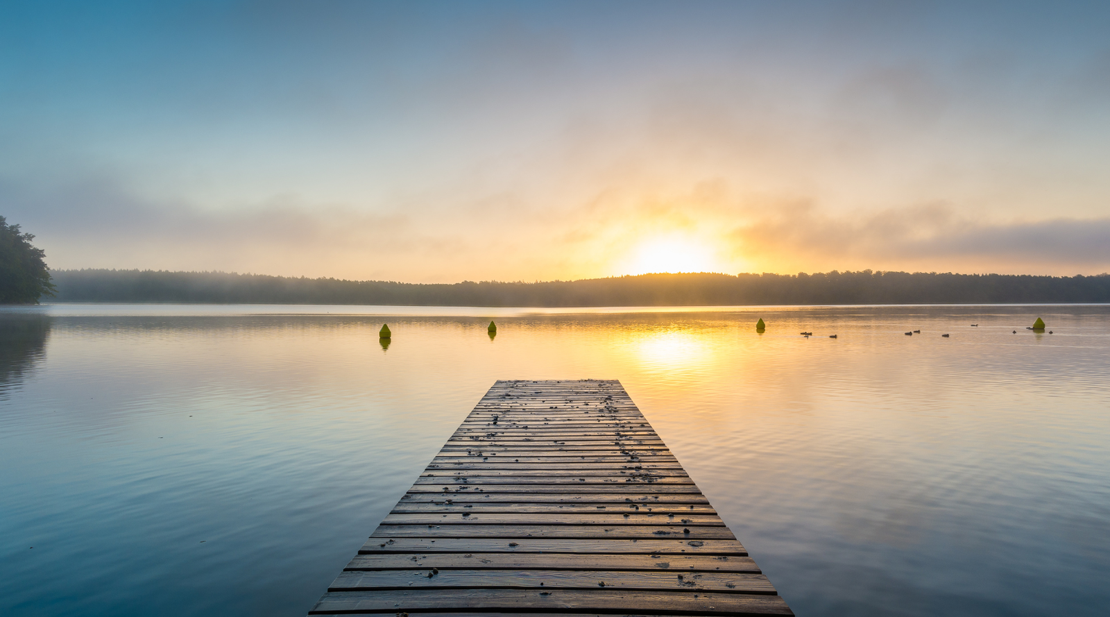 Debunking the "Busy Mind" Myth