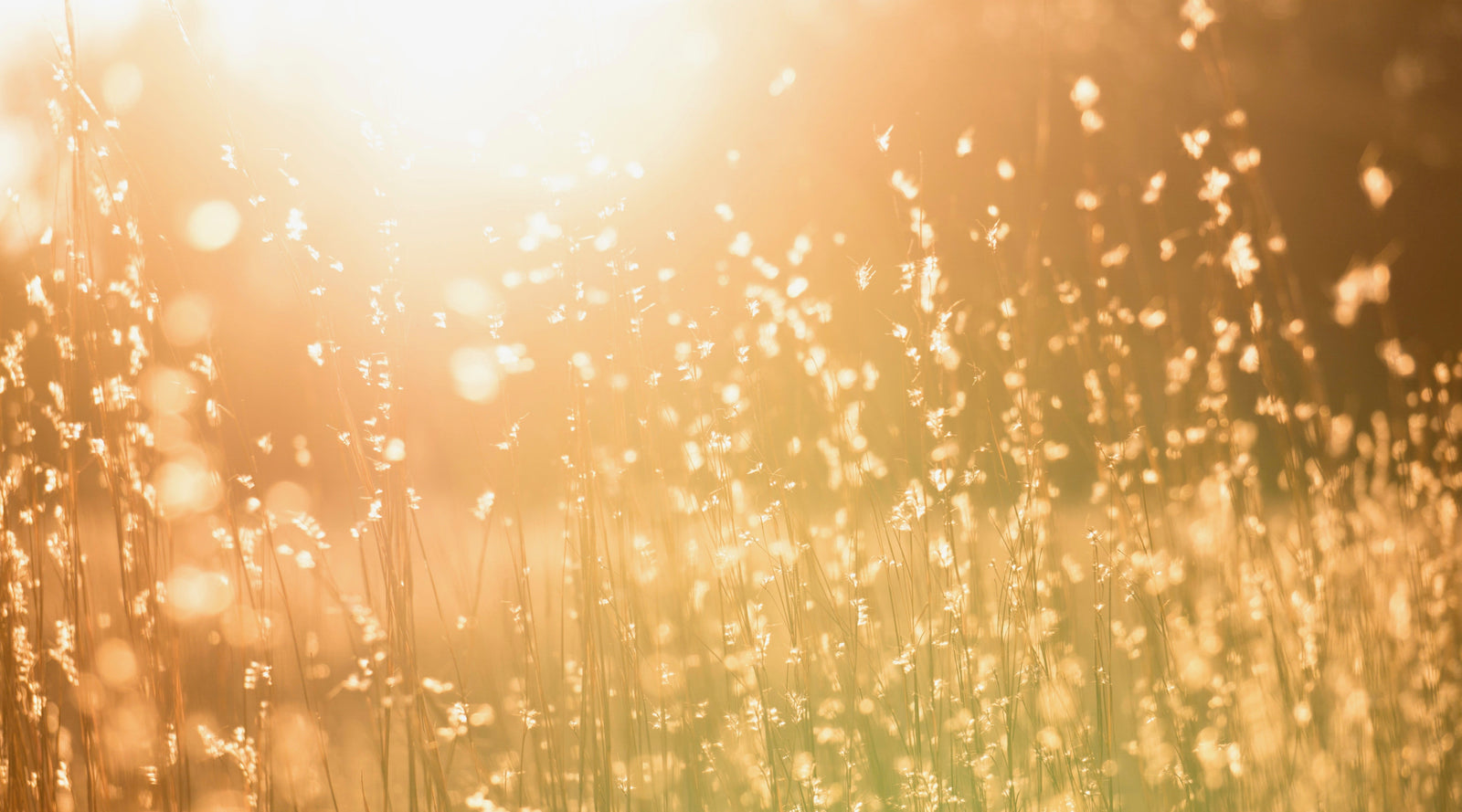 9 Ways to Shift Your Mindset and Cultivate Your Abundant Life