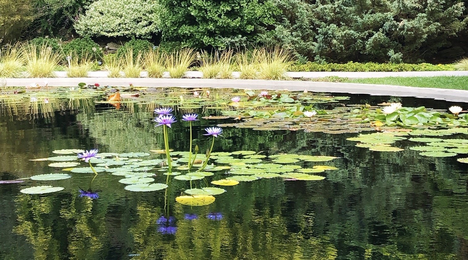 10 Tips to Turn a Garden Walk into a Treasure Hunt