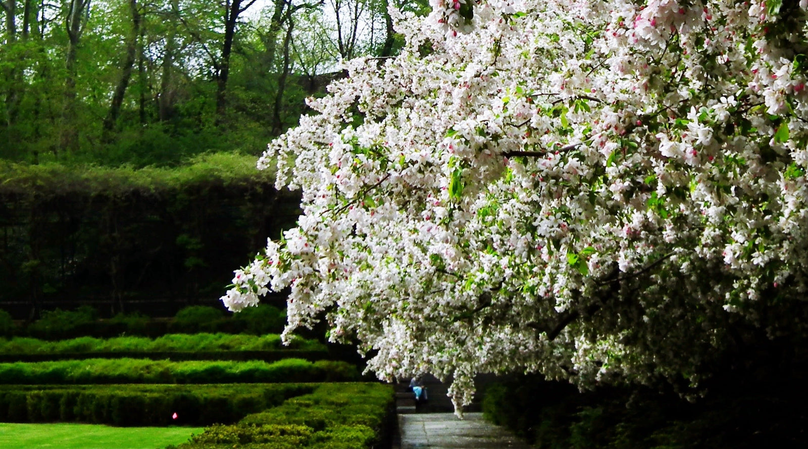 3 Beautiful Ways to Connect with Spring