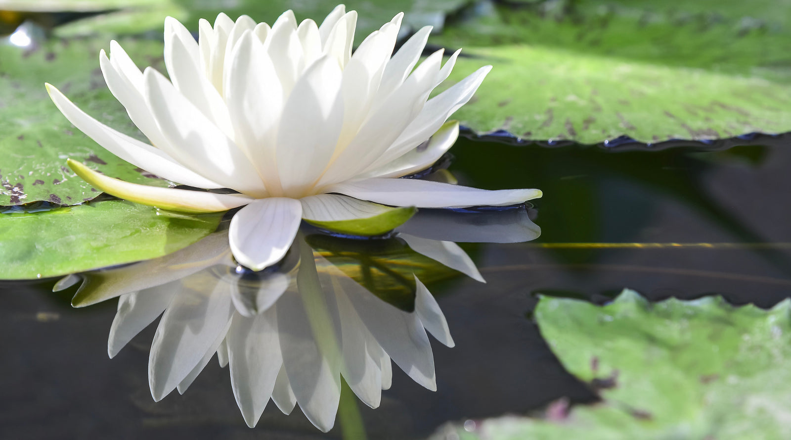 11 Quirky Things You Can Do to Boost Your Courage