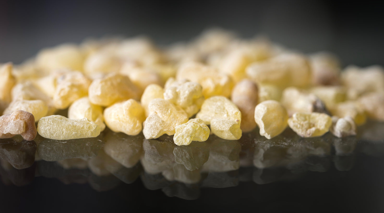 Boost Your Well-Being with Sacred Woods and Ancient Resins