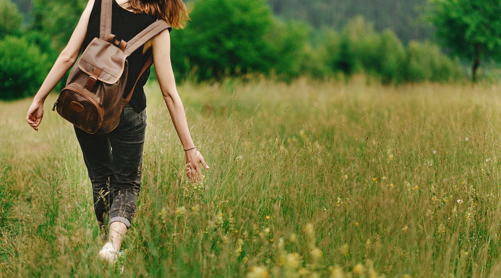 Wandering Meditation