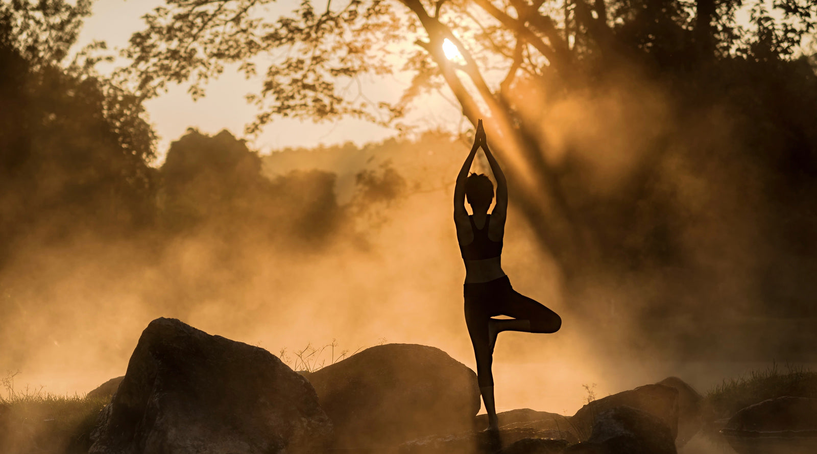 Find Calm, Connection and Inspiration in Trees