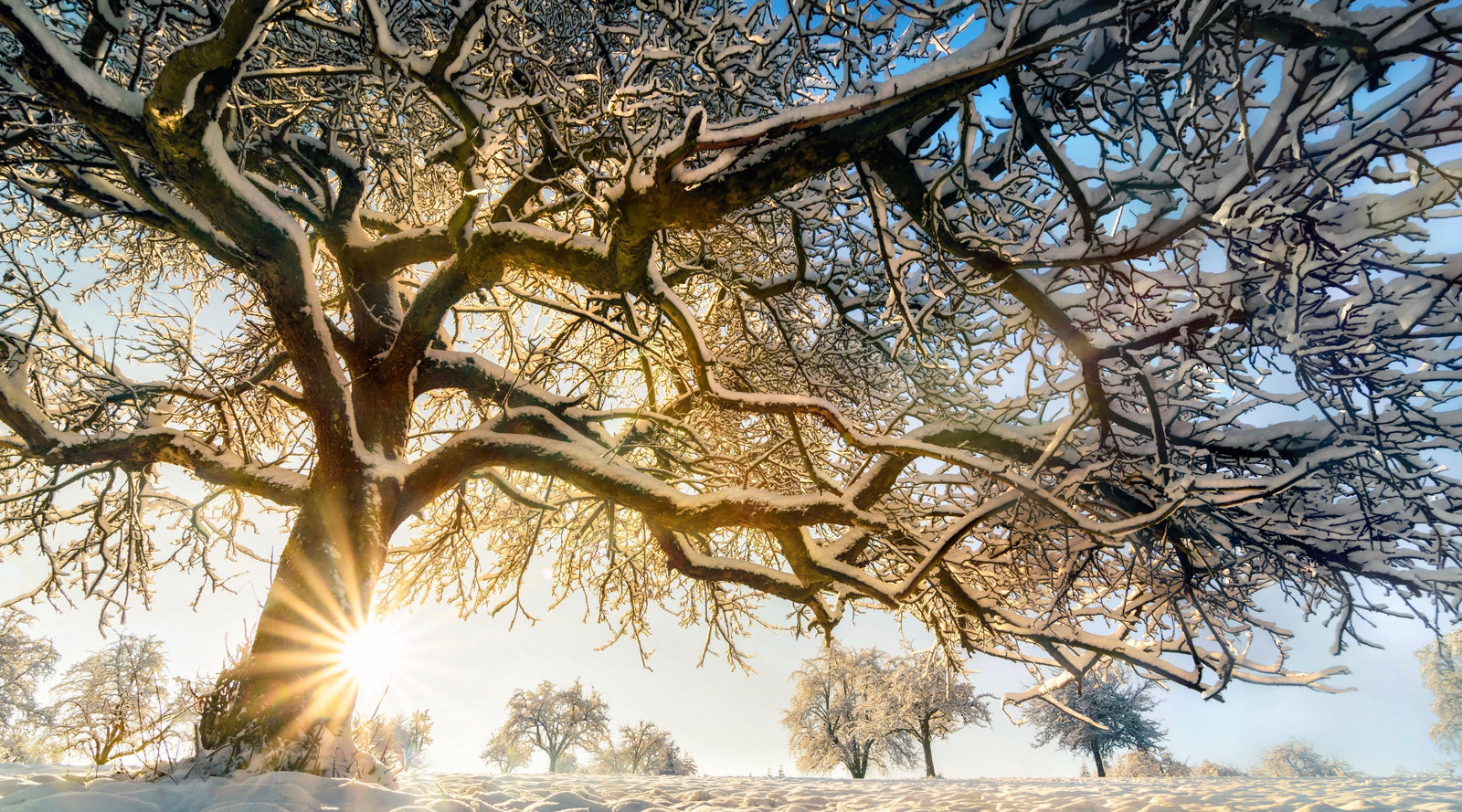 Silent Meditation Retreats:  Everything You Need to Know