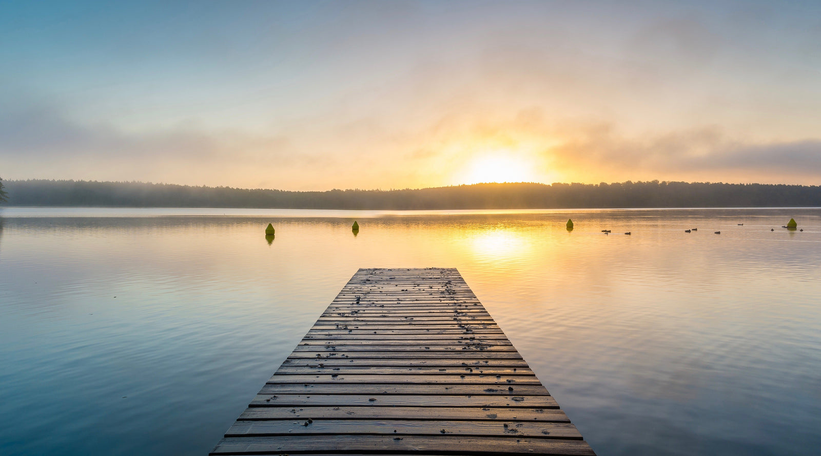 Yoga for Finding Calm