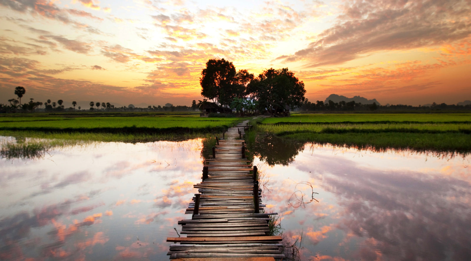 18 Practices to Support Your Personal "Hero's Journey"