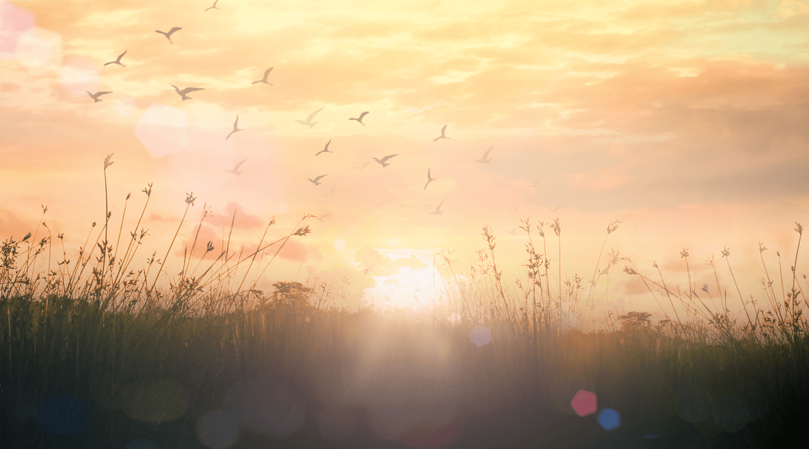 Your Personal Clarity Checklist