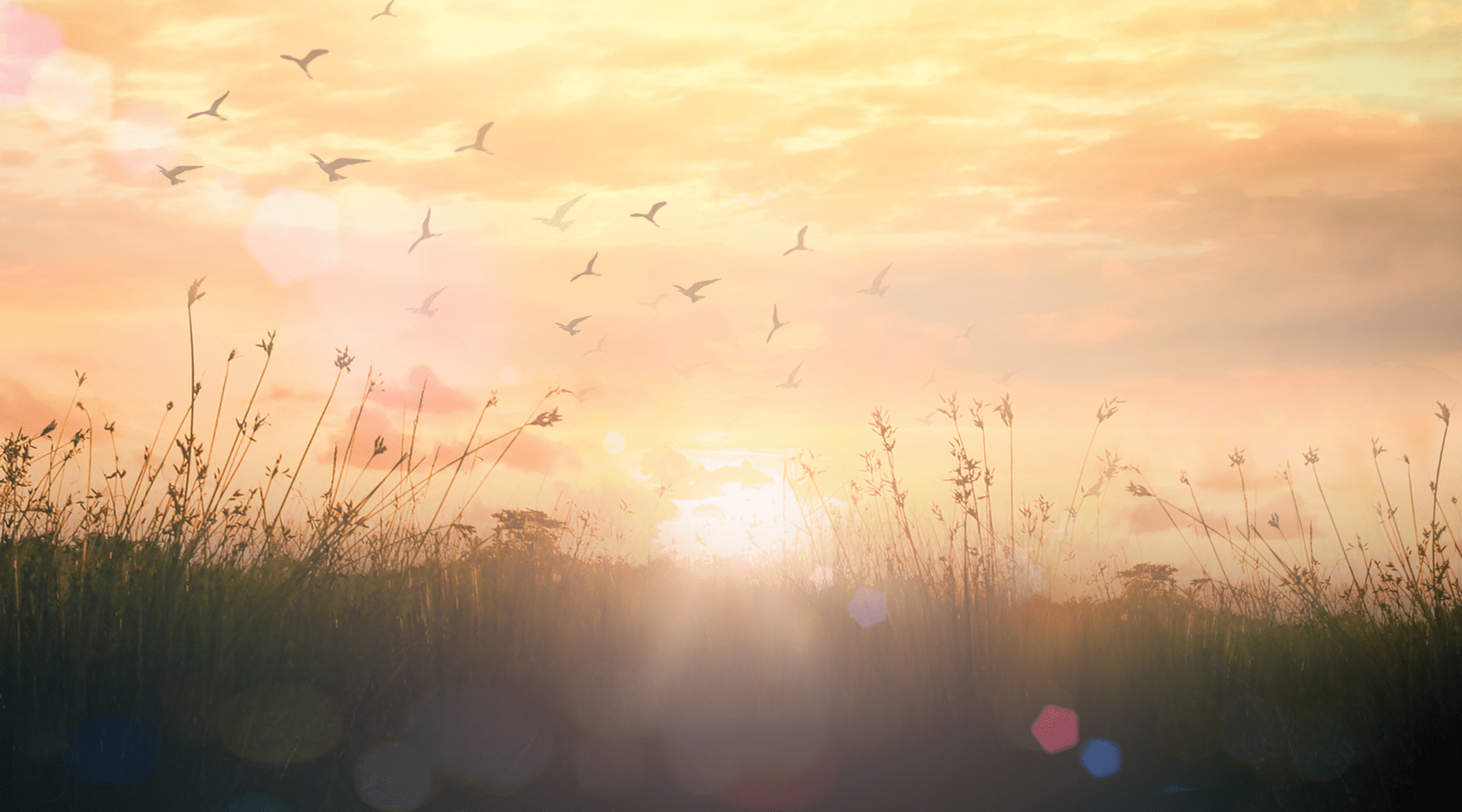 Your Personal Clarity Checklist