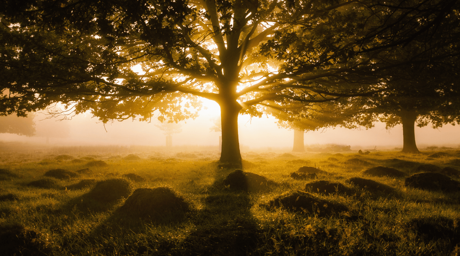 3 Books to Inspire Your Journey to Clarity