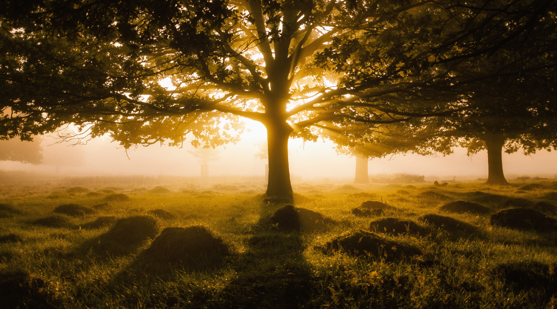 3 Books to Inspire Your Journey to Clarity