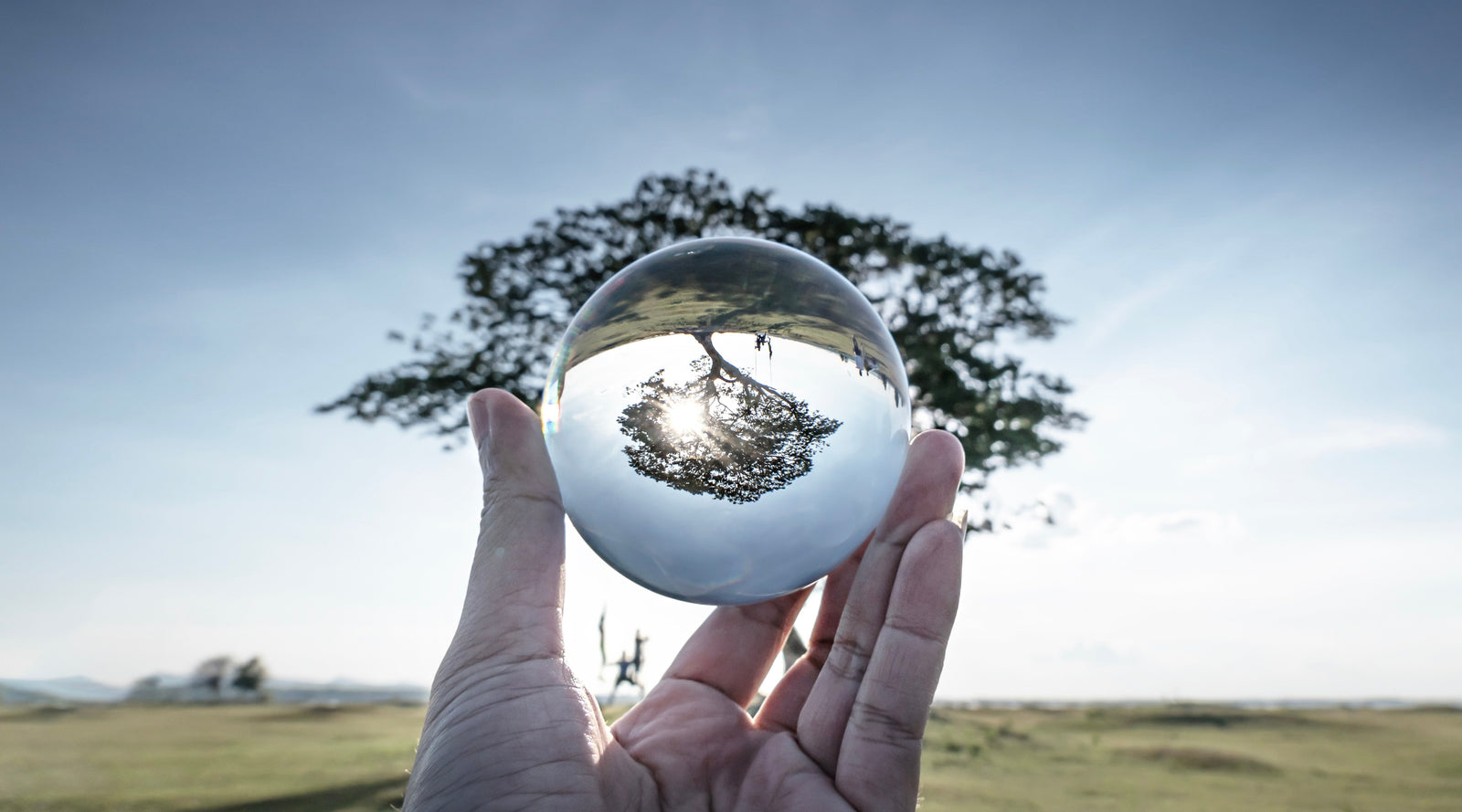 The Transformative Power of Shifting Your Perspective