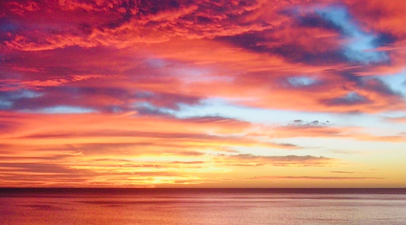 Your 5 Senses help you stay grounded in present moment awareness