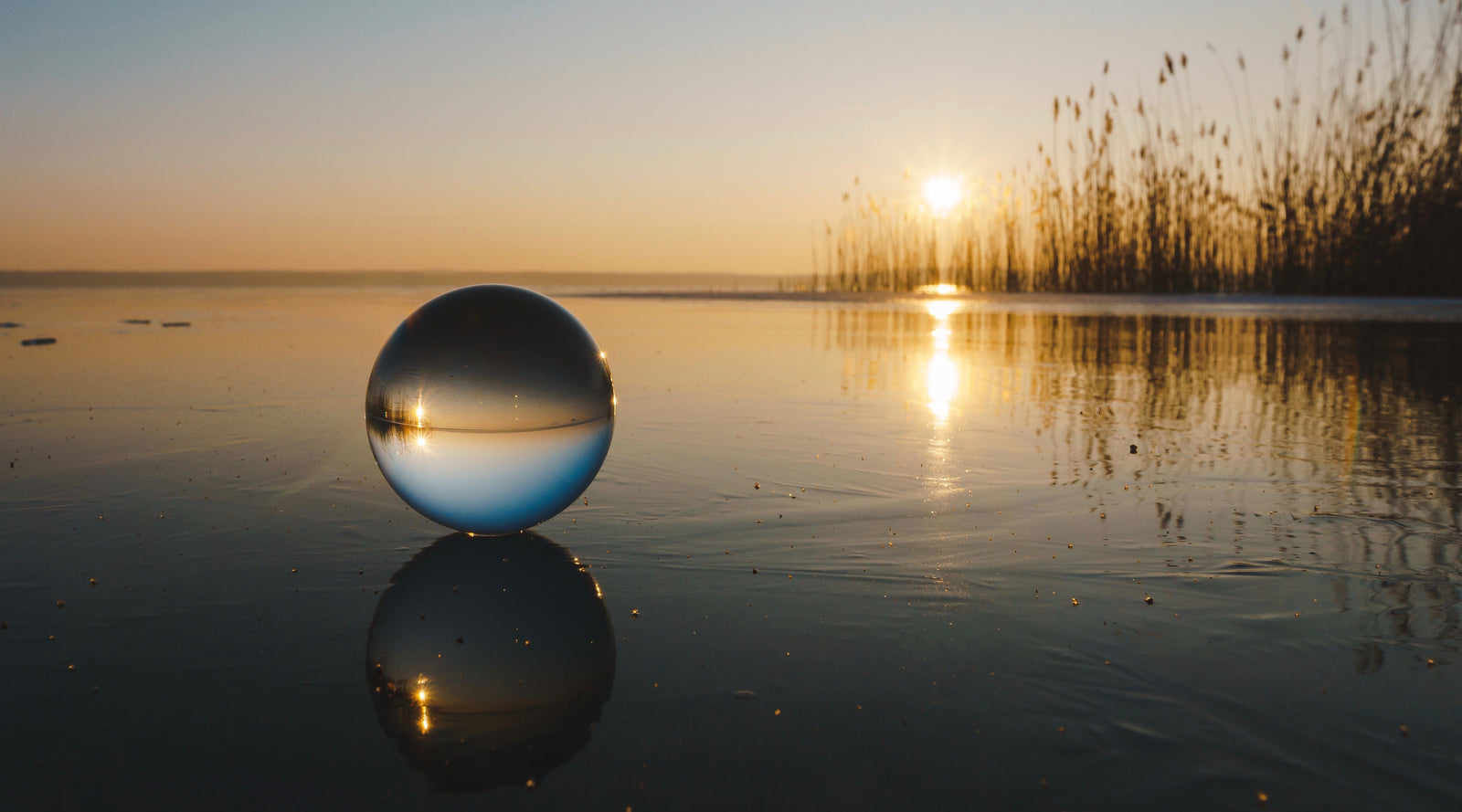 See Things Differently:  7 Fun Ways to Practice Mindfulness