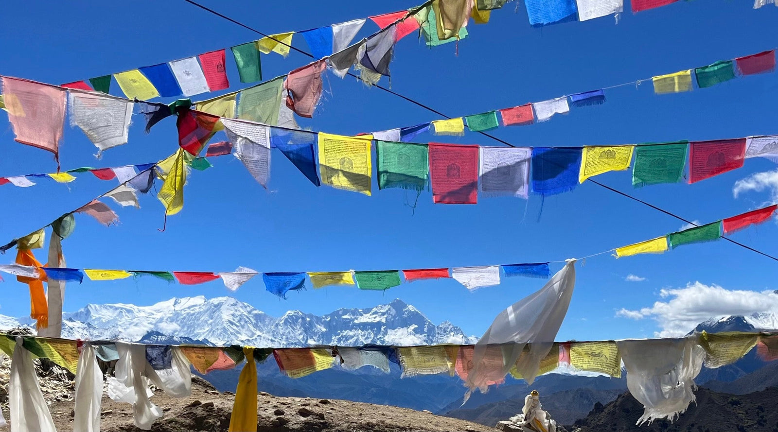 Happiness is in the Wind