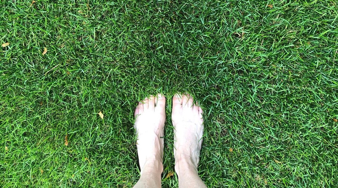 Reconnect with Earth Energy