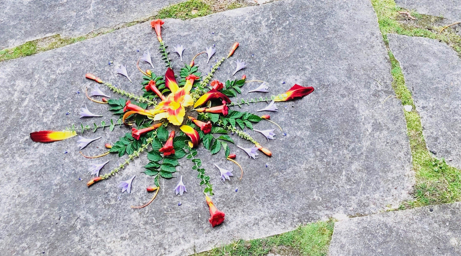 Natural Mandala Meditations